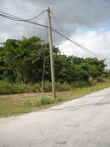 cowpenroadlandforsale32acres001.jpg