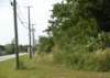 cowpenroadlandforsale32acres008_small.jpg