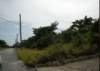 cowpenroadlandforsale32acres009_small.jpg