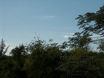 Mangrove Cay, Andros 6 acres