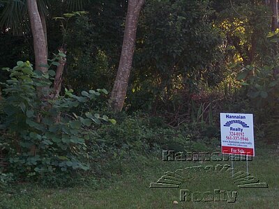 Weatern area, Coral Dr.