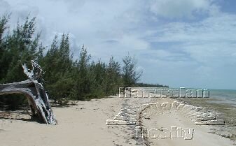 Eleuthera Beachfront 55.496 Acres